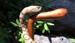 Un serpent ultra-réaliste sculpté sur une canne