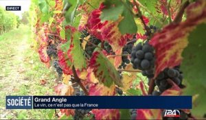 Grand Angle : le vin, ce n'est pas que la France