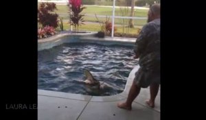 Cette famille découvre un crocodile énorme dans sa piscine