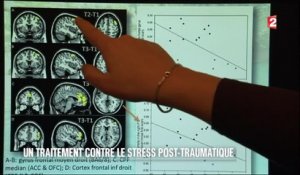 Sciences - EMDR et stress post-traumatique - 2016/02/13