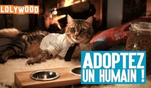 Lolywood - Adoptez un humain