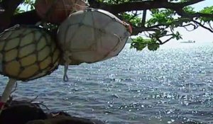 Wallis-et-Futuna, paradis fiscalement et économiquement atypique