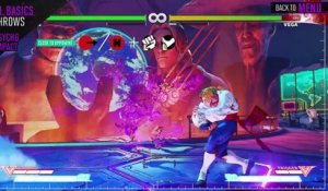 Street Fighter V - M. Bison Official Character Guide