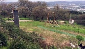 Saut en longueur pour chien