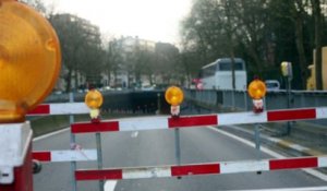 Chaos à Bruxelles après la fermeture du tunnel Montgomery