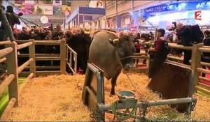 Salon de l'agriculture : Manuel Valls malmené par les éleveurs