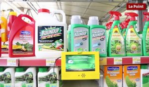 Interdiction des pesticides dans les jardins : qu'en pensent les utilisateurs ? #1