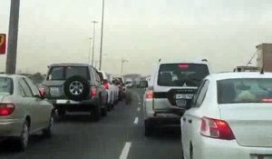 Qatar: Un tigre marche, en liberté, entre les voitures d'une route de Doha - Regardez