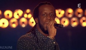 Alcaline, le Mag : Youssoupha - Entourage en live