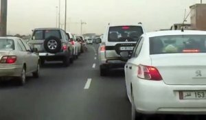 Ces automobilistes au Qatar vont voir passer un animal très dangereux