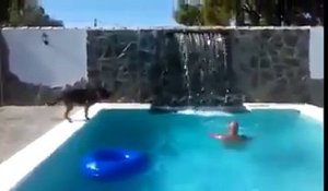 Un chien sauve son maitre qui fait semblant de se noyer