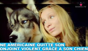 Une américaine quitte son conjoint violent grâce à son chien ! L'histoire dans la minute chien #155