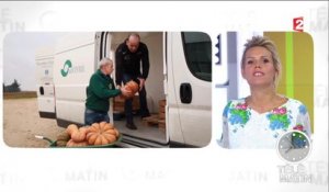Actions solidaires-Collecte agri-citoyenne