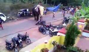 En Inde, un éléphant en colère détruit des véhicules
