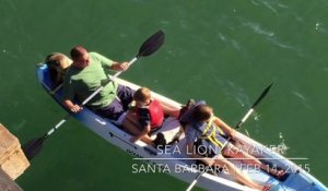 Une otarie vient squatter sur le canoë de cette famille. Adorable...