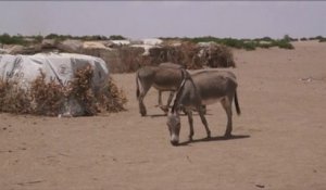 Ethiopie, La sécheresse menace