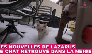 Des nouvelles de Lazarus, le chat retrouvé dans la neige ! Maintenant dans la minute chat #170