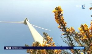 Énergie éolienne : un secteur d'avenir
