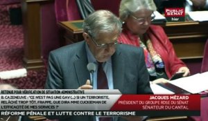 Réforme pénale et lutte contre le terrorisme - Les matins du Sénat (30/03/2016)