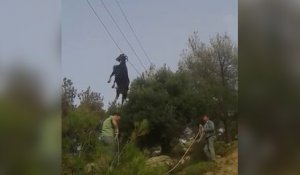 Ils sauvent une chève coincée sur un fil électrique