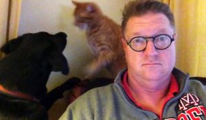 Les Dimanches Matins D Un Homme Avec Son Chat Et Son Chien Sur Orange Videos