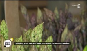 Asperge verte de Provence : une douceur printanière