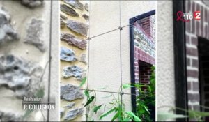 Jardin - Filin pour plantes grimpantes - 2016/04/02
