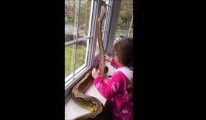 Une jeune fille prend dans un python dans ses bras. Flippant...