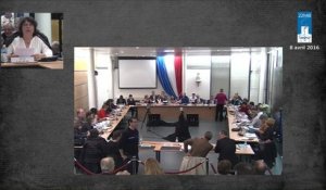 Conseil municipal de Savigny-sur-Orge du 8 avril 2016. - Partie 2 D -vote du budget