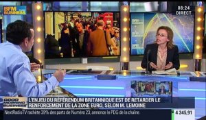 "Le renforcement de la zone euro est une des raisons de l'annonce du référendum britannique", Mathilde Lemoine - 13/04