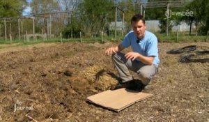 Jardinage : Des conseils pour préparer la terre (Vendée)