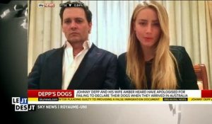 Johnny Depp et Amber Heard présentent leurs excuses pour avoir introduits leurs chiens en Australie - Regardez