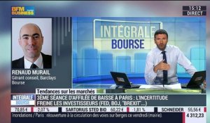 Les tendances sur les marchés: "Il n'y a pas forcément d'éléments tangibles pour expliquer une baisse des marchés de 2% ce vendredi", Renaud Murail - 10/06