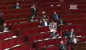 Ca triche à l'Assemblée Nationale  - Votes fictifs