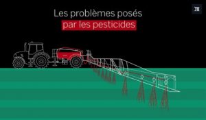 Comprendre les problèmes posés par les pesticides en 5 minutes