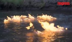 Écologie: un député australien met le feu à une rivière