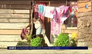 La Guyane est mobilisée contre le virus Zika