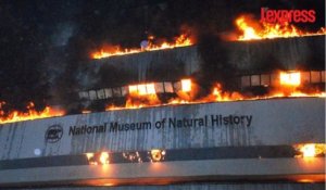 Inde: un incendie ravage le muséum d'histoire naturelle de Delhi