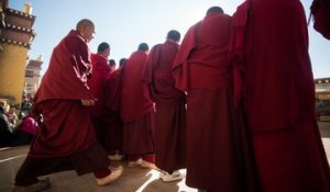 Le bouddhisme selon Matthieu Ricard #2 : les 4 nobles vérités