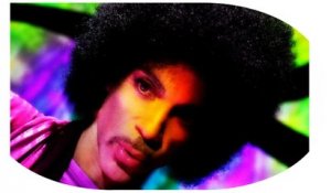 Prince mort d'une overdose ? “ C’est insensé ! ”