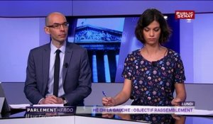 Le Vallsiste Luc Carvounas tacle "Hé Oh la Gauche" sur Public Sénat