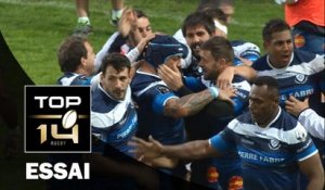 TOP 14 – Castres – Pau: 37-6 Essai de Karena WIHONGI (CAS) – J22 – Saison 2015-2016