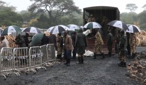 Le Kenya s'apprête à brûler la plus grande quantité d'ivoire