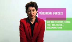 Le programme national de la forêt et du bois - Véronique Borzeix