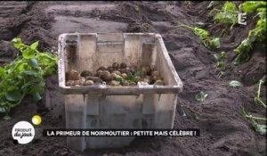 La primeur de Noirmoutier : petite mais célèbre