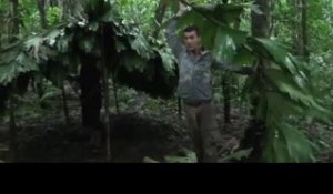 BOLIVIE : trek de SURVIE en AMAZONIE -3- construire notre abri