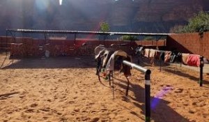 Jordanie - Randonnée à cheval dans le Wadi Rum : arrivée dans le désert