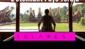 SULAWESI : les fascinantes maisons de Toraja
