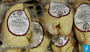 L'Etat arrête la production de foie gras pour 4 mois