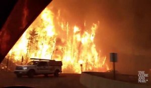 Des arbres de 20m de haut en flammes au Canada le long de la route